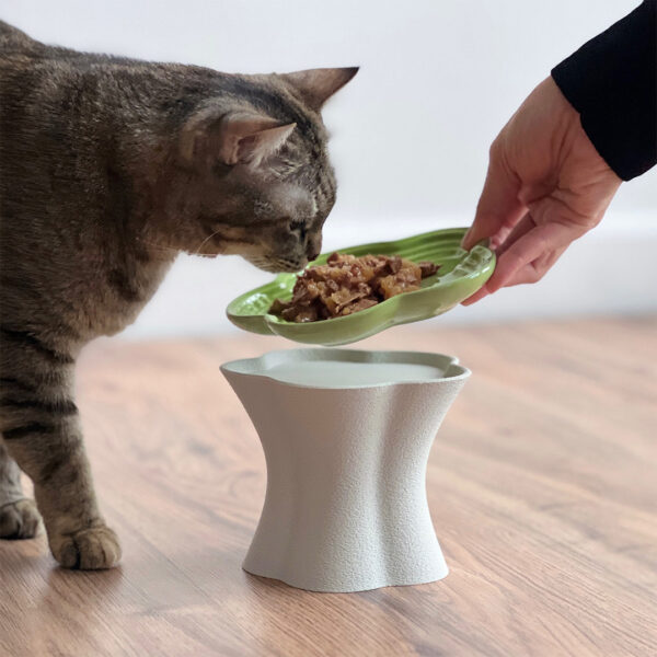 MEJA Bunga for Rose Quartz